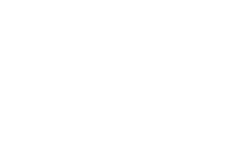 Investor Logo