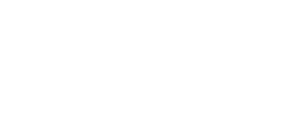 DOMINO