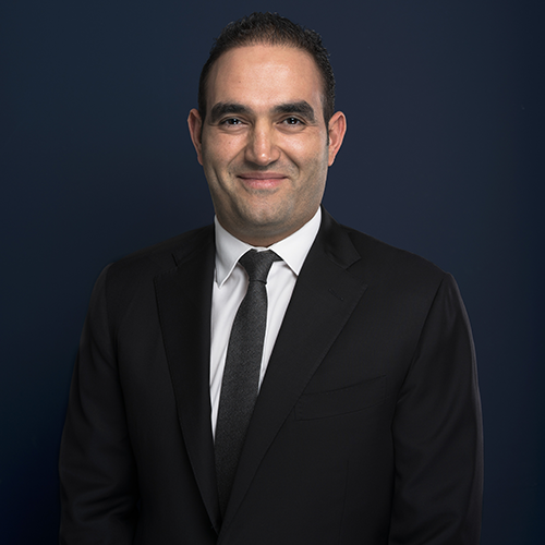 Member of the Board, Esas Holding