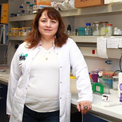 Molecular Biology, Bogazici University