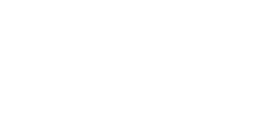 Startup Fon