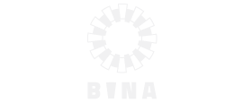BINA