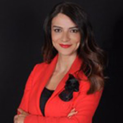 Chief Digital Officer, Demiroren Media