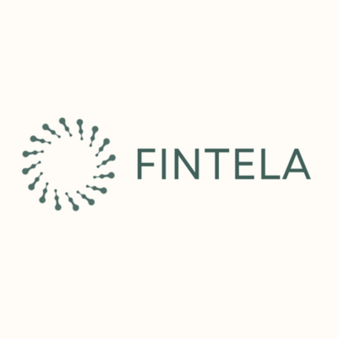 Fintela AI